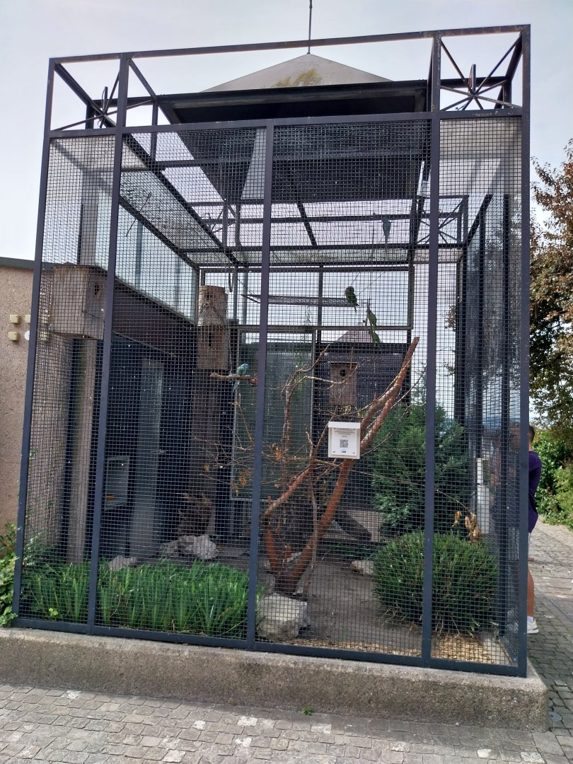 Volière Zug - Neue volière - Mixed species aviary