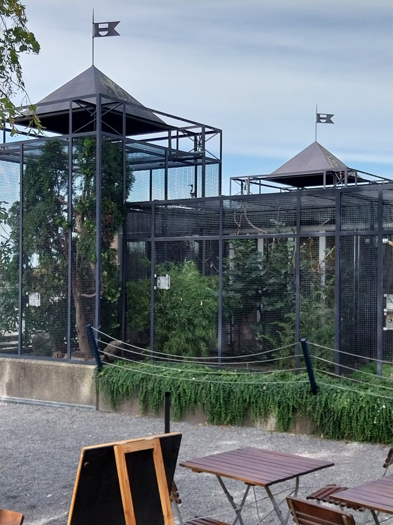 Volière Zug - Neue volière