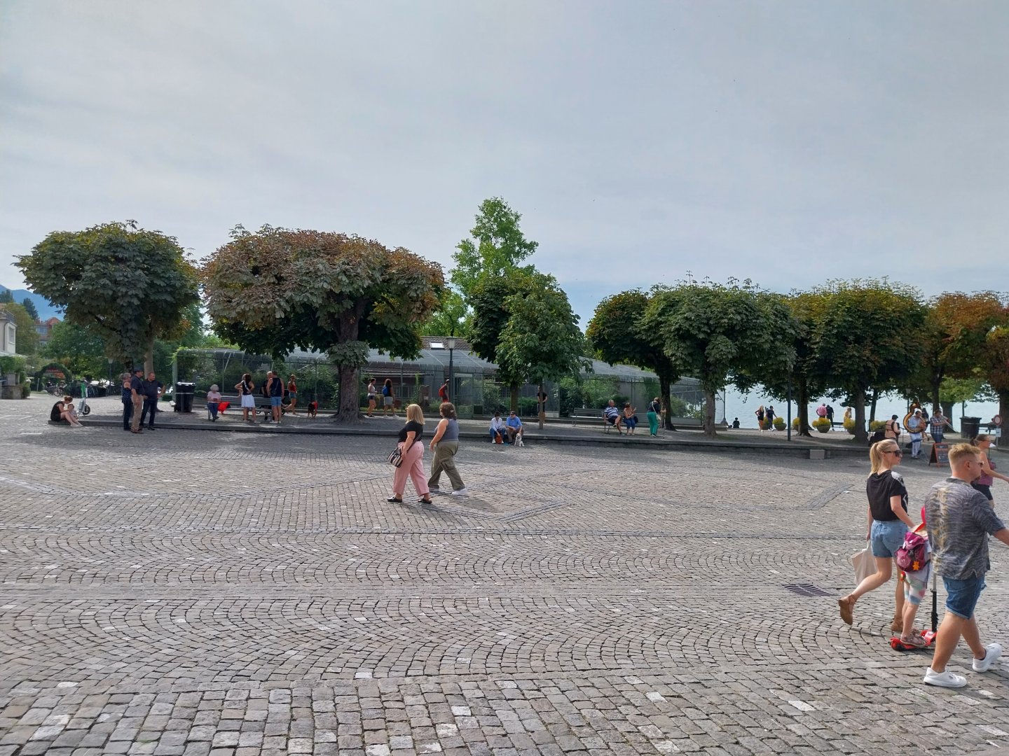 Volière Zug - Vorstadtquai & Fasanerie