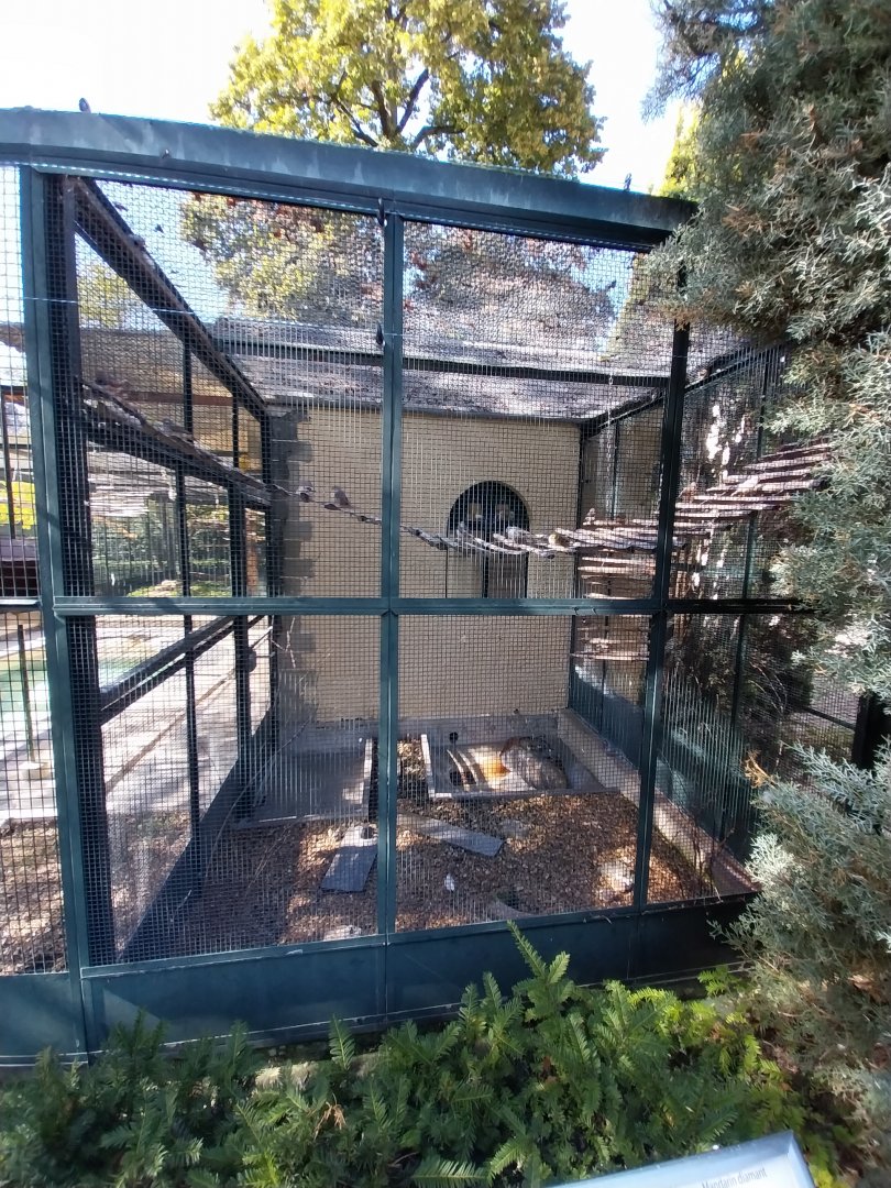 Volières Parc de Mon-Repos (Lausanne) - General view