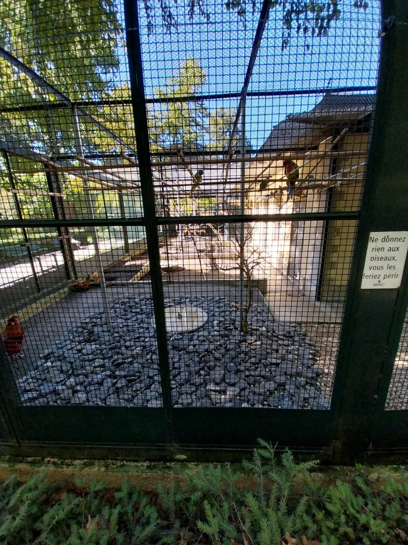 Volières Parc de Mon-Repos (Lausanne) - General view
