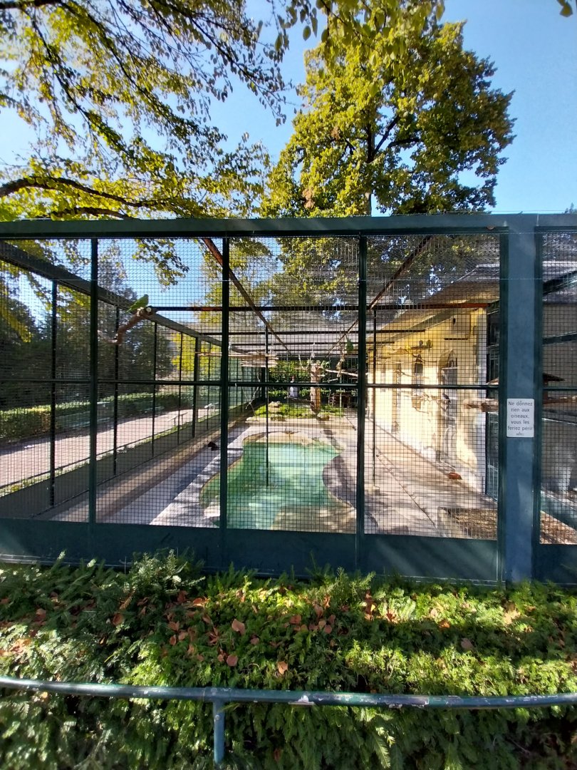 Volières Parc de Mon-Repos (Lausanne) - Large aviary