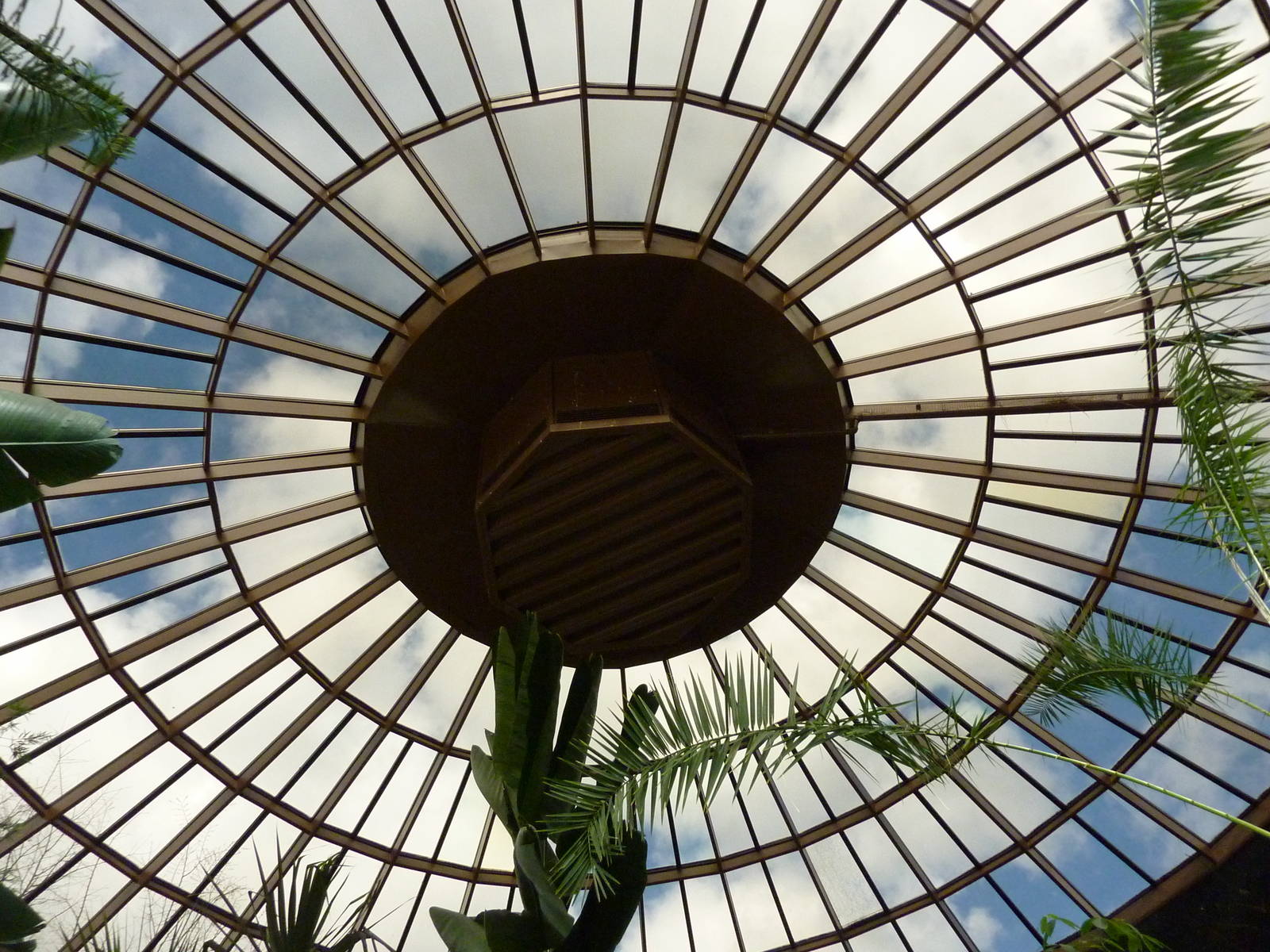Vollum Aviary