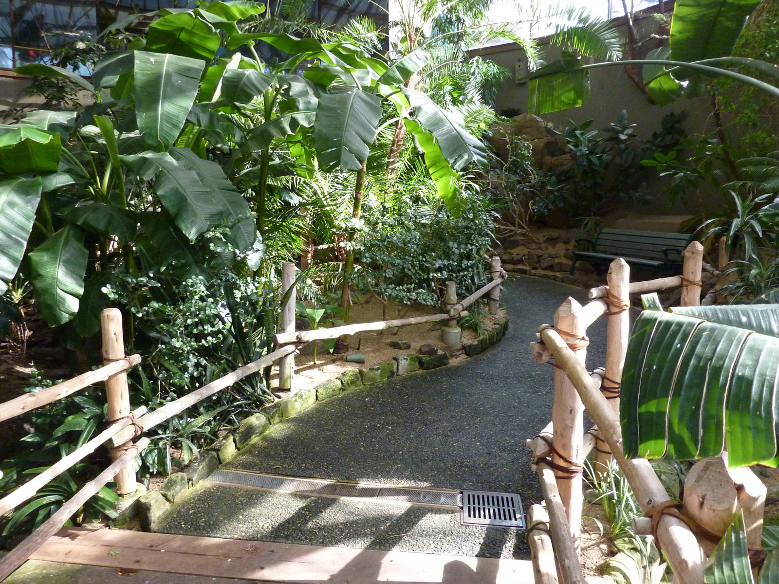 Vollum Aviary