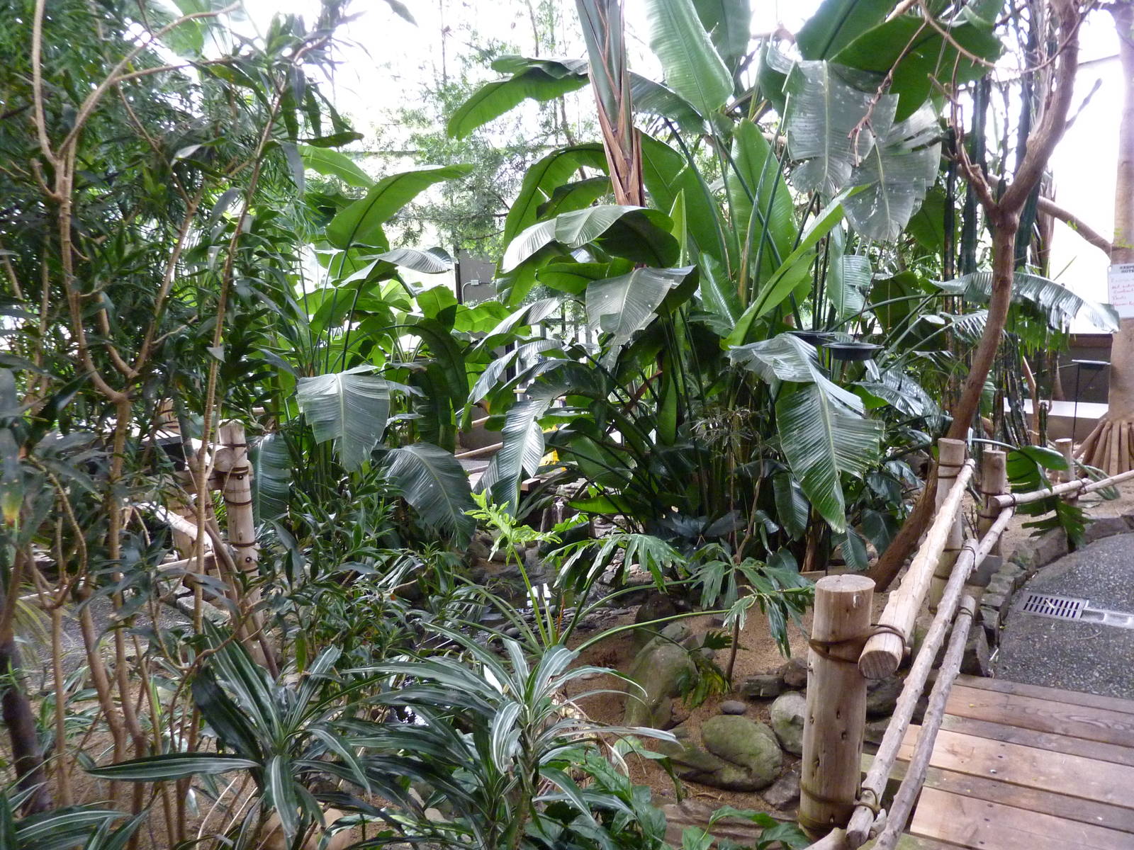 Vollum Aviary