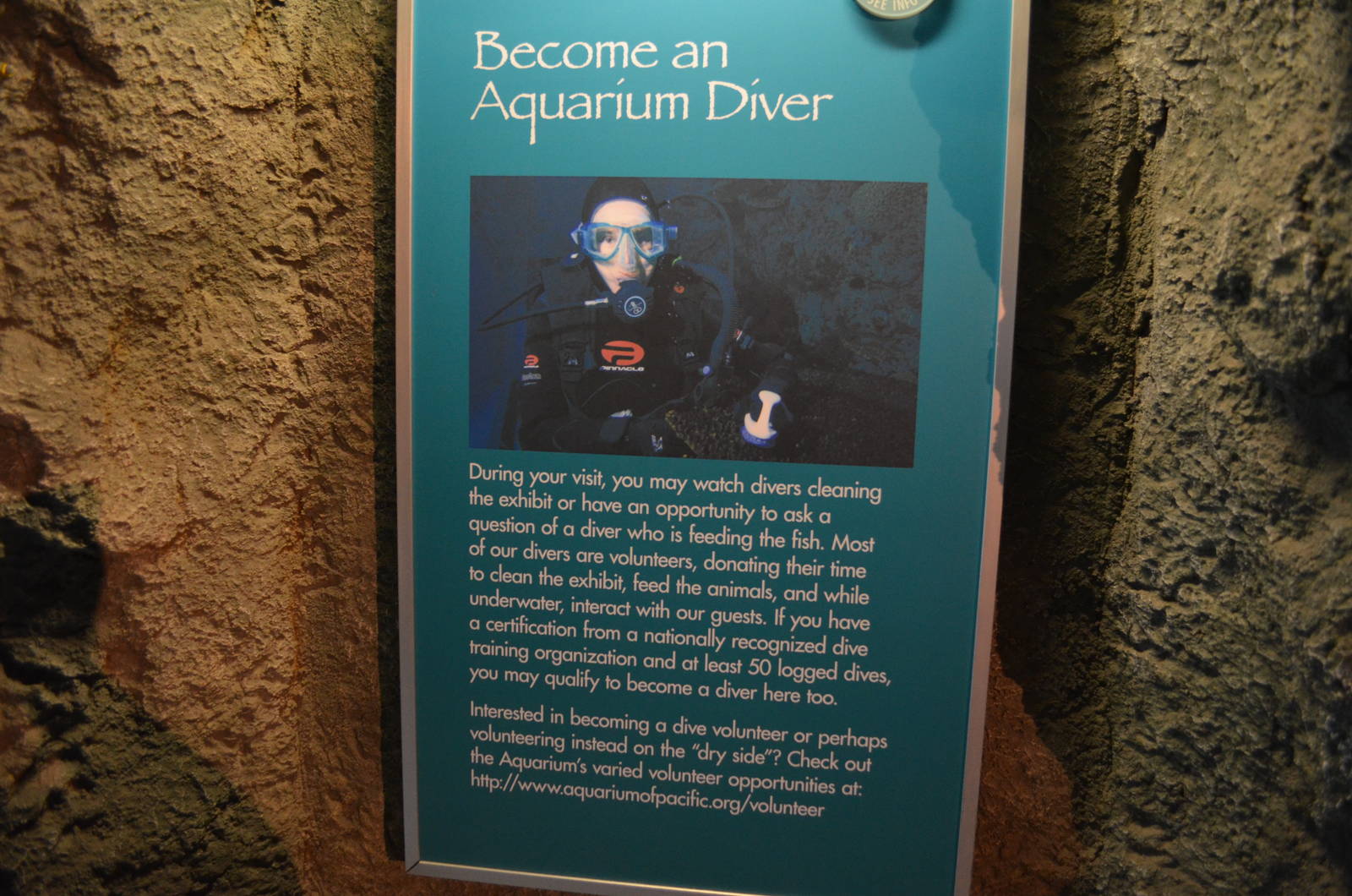 Volunteer Divers Recruitment