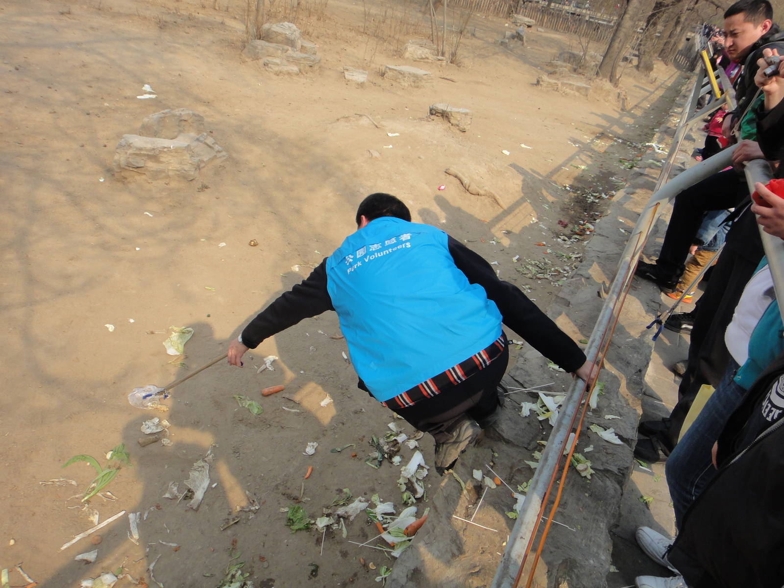Volunteer picking out the trash from the zebra enclosure
