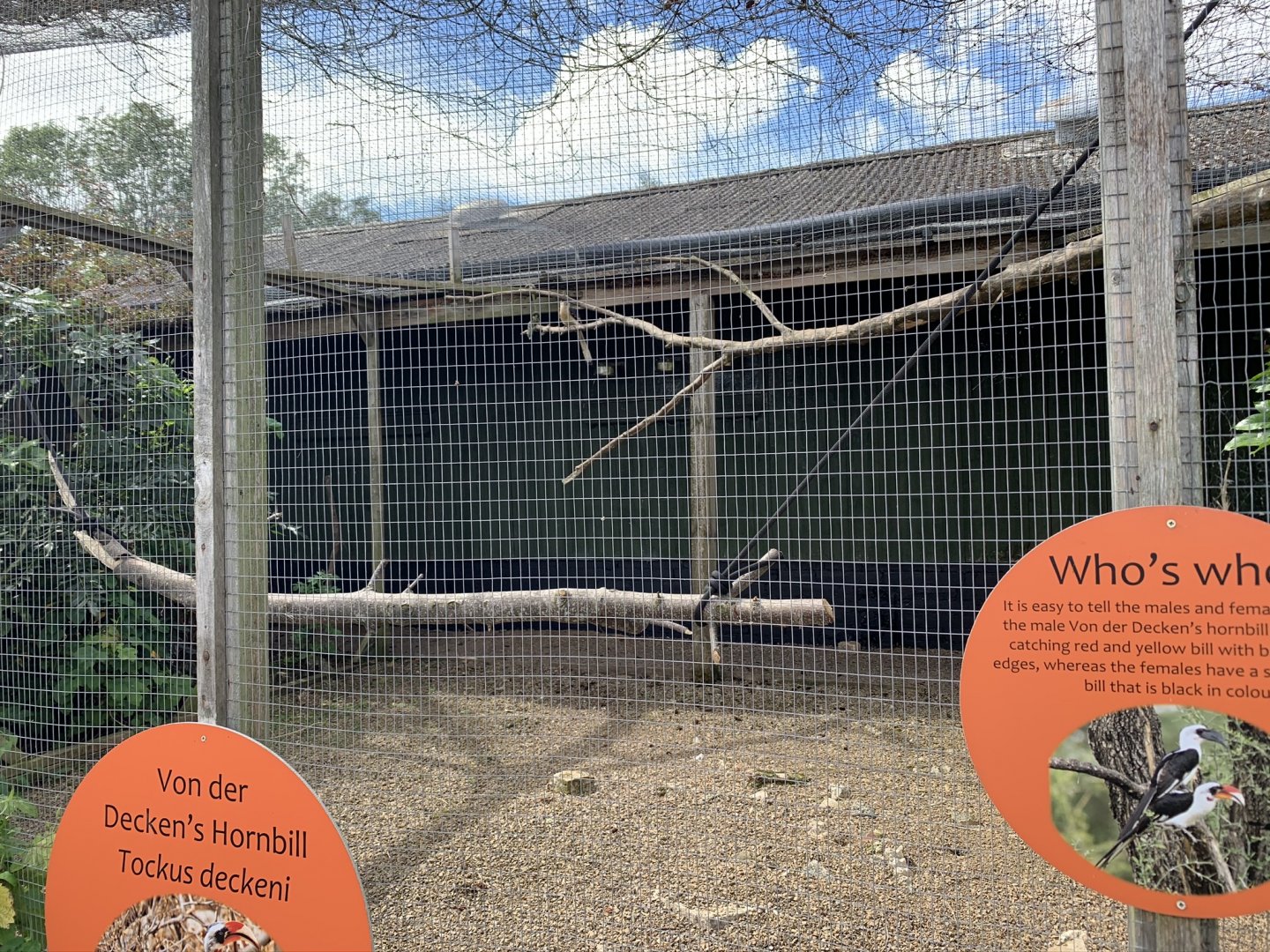 Von der Decken's Hornbill Aviary at Northumberland College Zoo (2020)