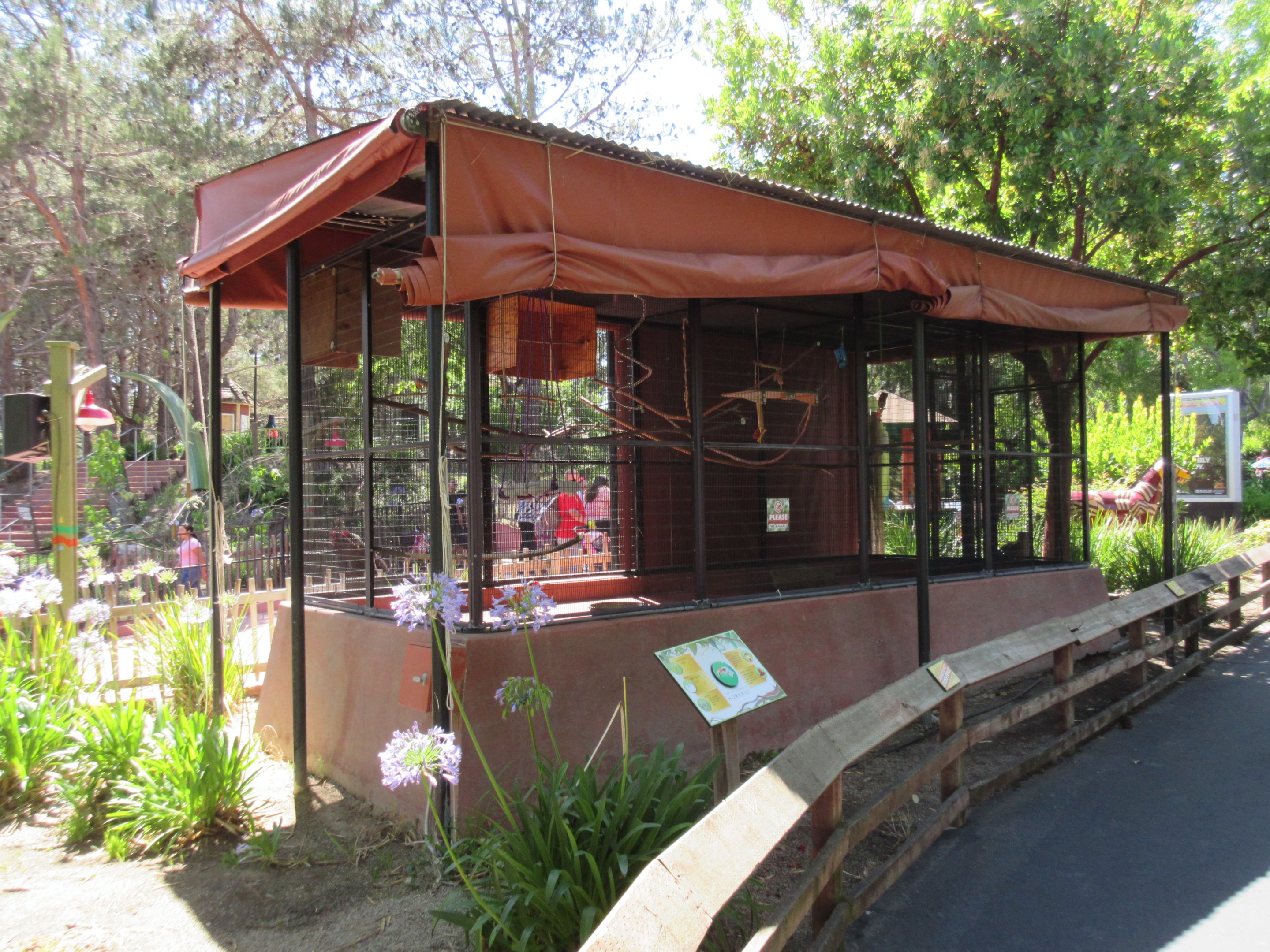 Von Der Decken's Hornbill Aviary