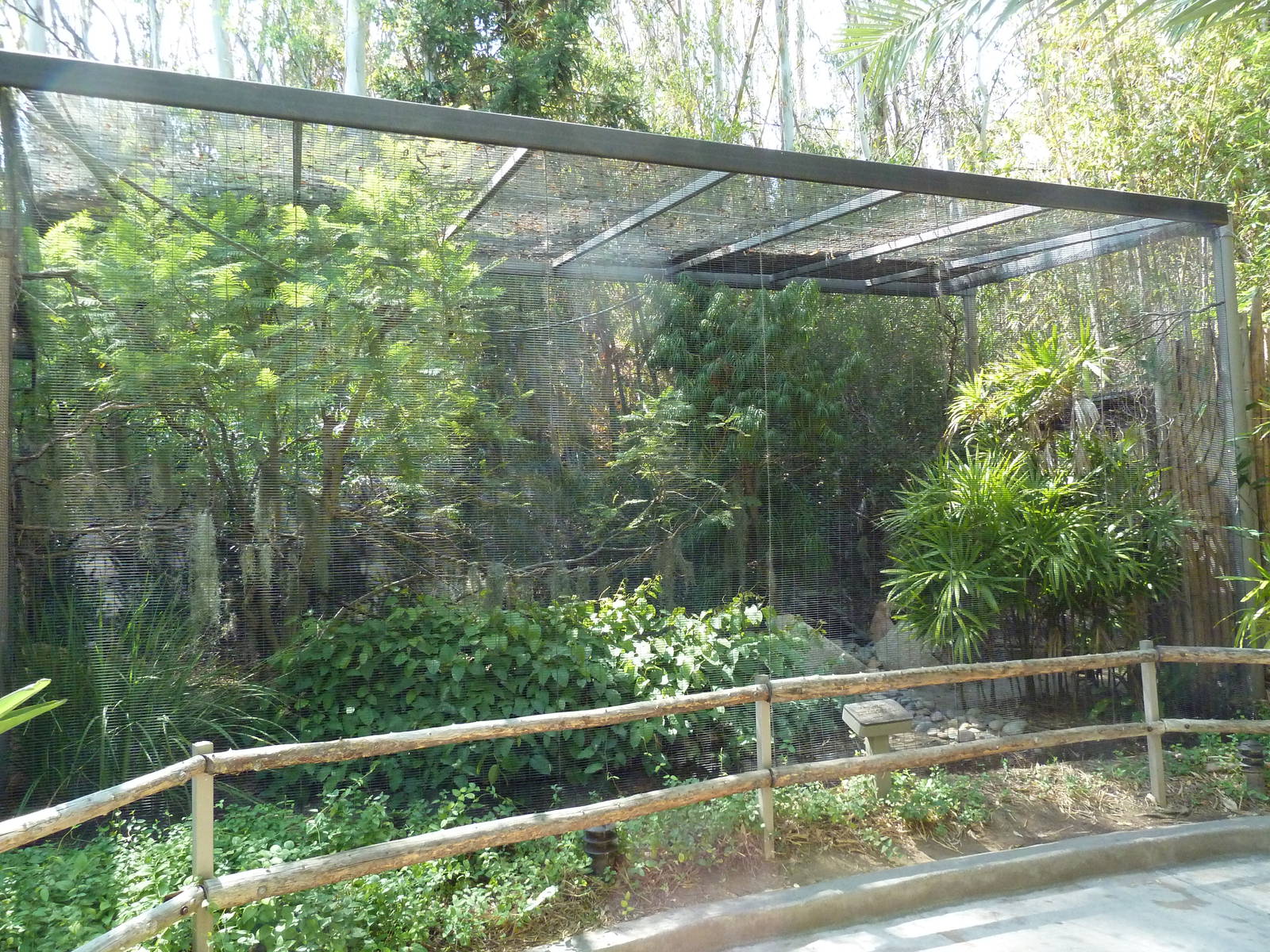 Von Der Decken's Hornbill/Buff-Crested Bustard Exhibit