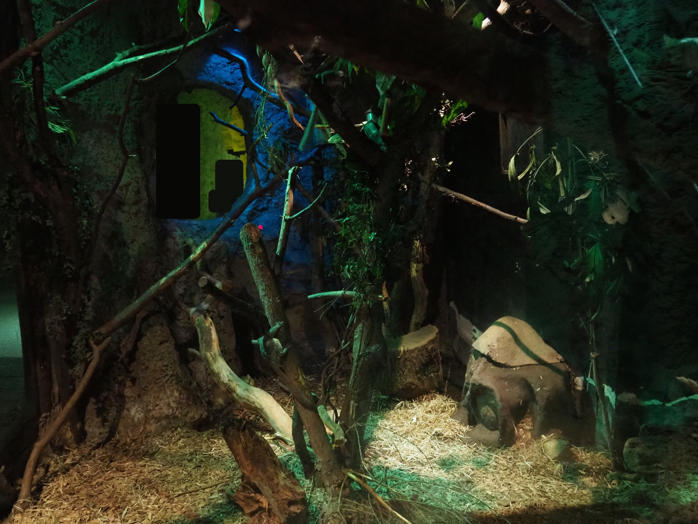 Votsotsa/Senegal bushbaby exhibit