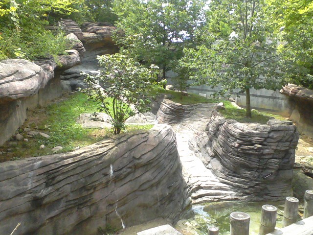 Voyage to Australia and the Islands- Asian Small-clawed Otter exhibit