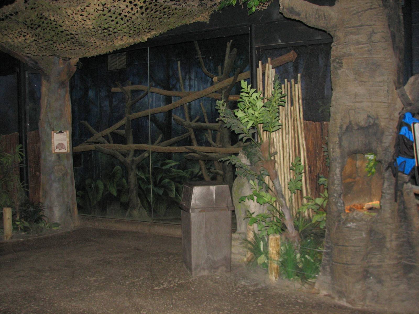 Voyage to Australia and the Islands - Echidna Exhibit