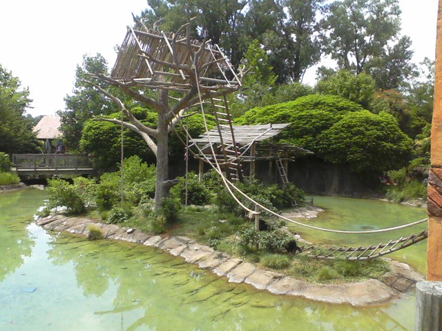 Voyage to Australia and the Islands- Gibbon Rotation Island