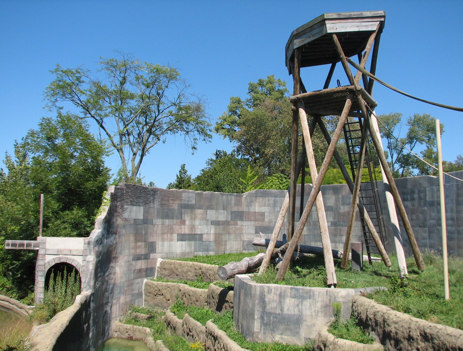 Voyage to Australia and the Islands - Orangutan Exhibit