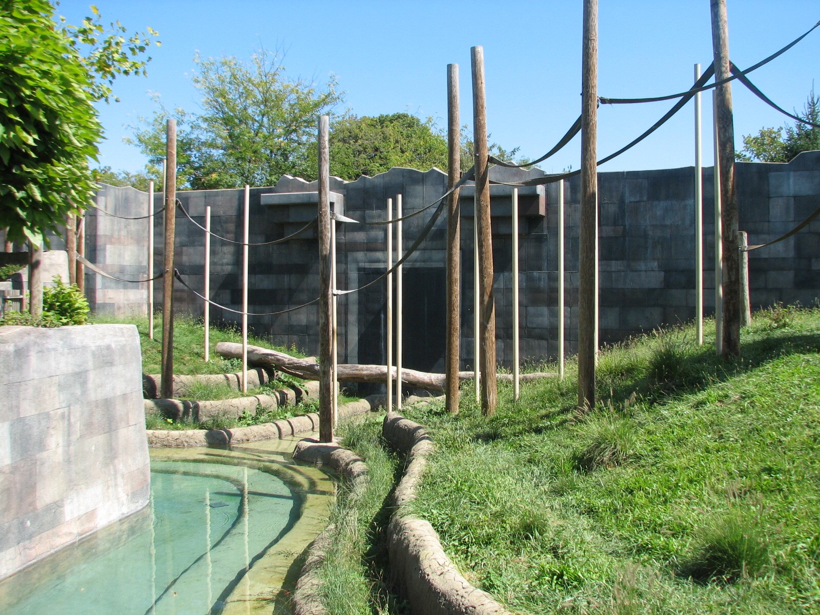Voyage to Australia and the Islands - Orangutan Exhibit