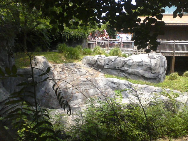 Voyage to Australia and the Islands- Outdoor Komodo Dragon exhibit