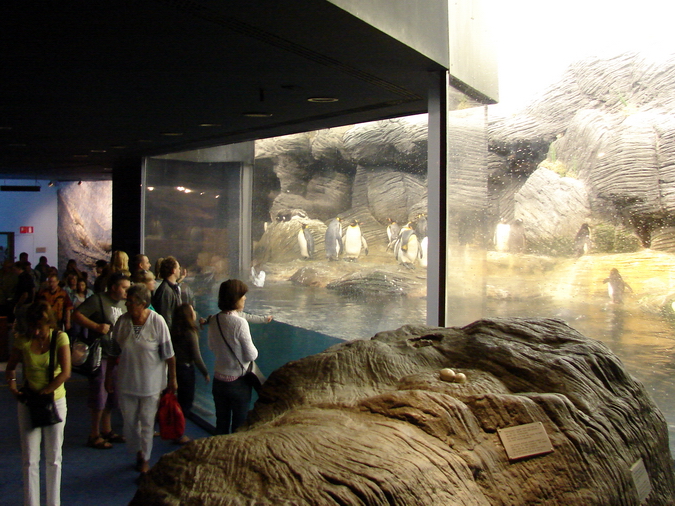 Vriesland, Penguins exhibit