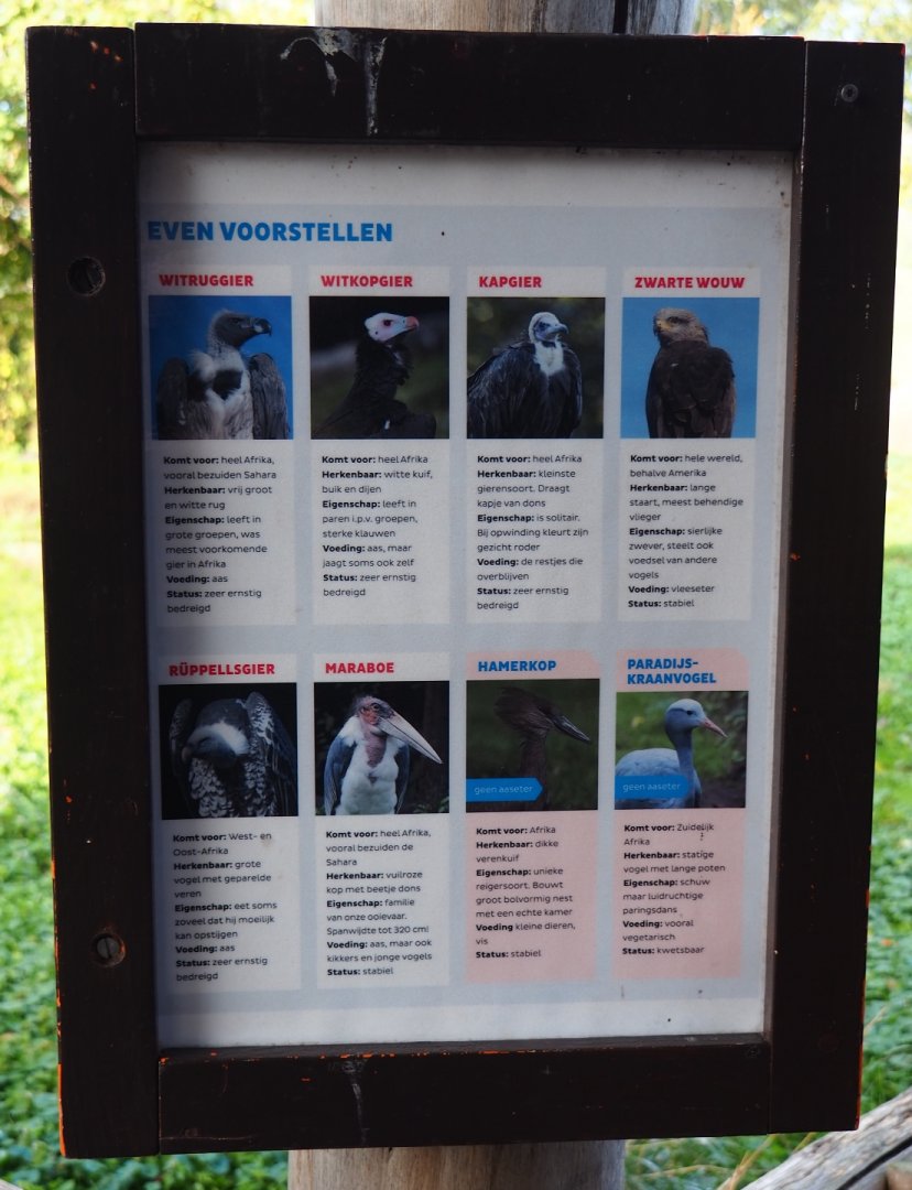 Vulture and large bird aviary inhabitants sign (Nov 10th, 2018)