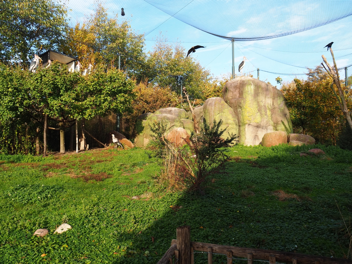 Vulture and large bird aviary (Nov 10th, 2018)