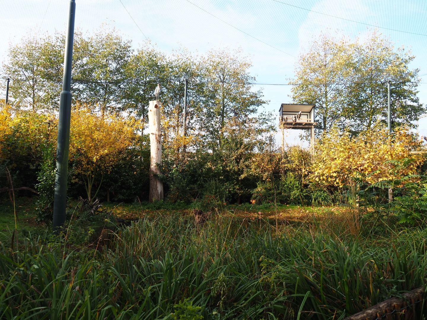 Vulture and large bird aviary (Nov 10th, 2018)