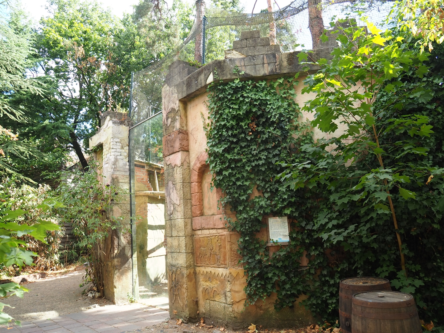 Vulture and marabou aviary viewing window