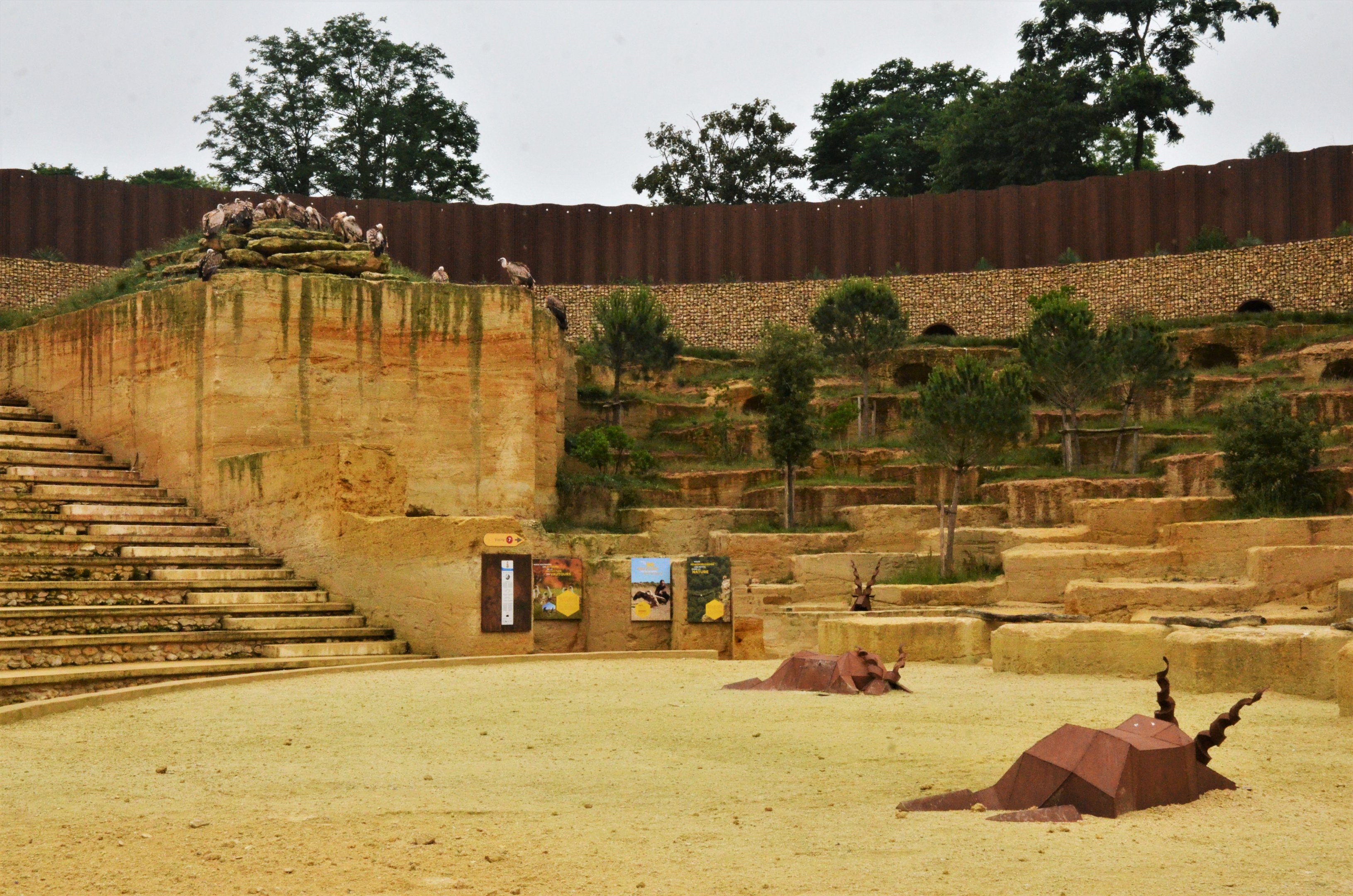 Vulture and Marmot Enclosure at Doué-la-Fontaine, 15/06/18