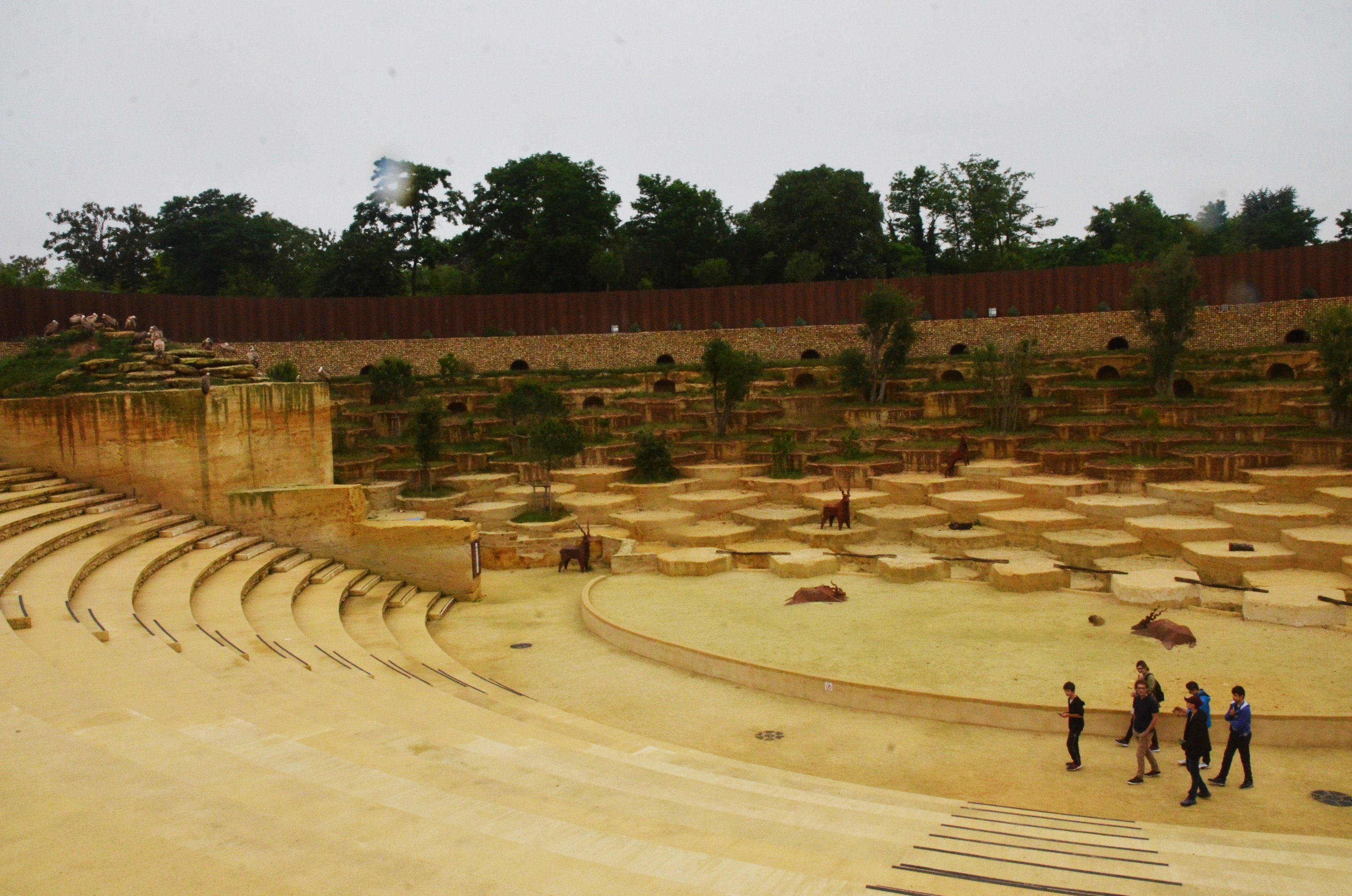 Vulture and Marmot Enclosure at Doué-la-Fontaine, 15/06/18