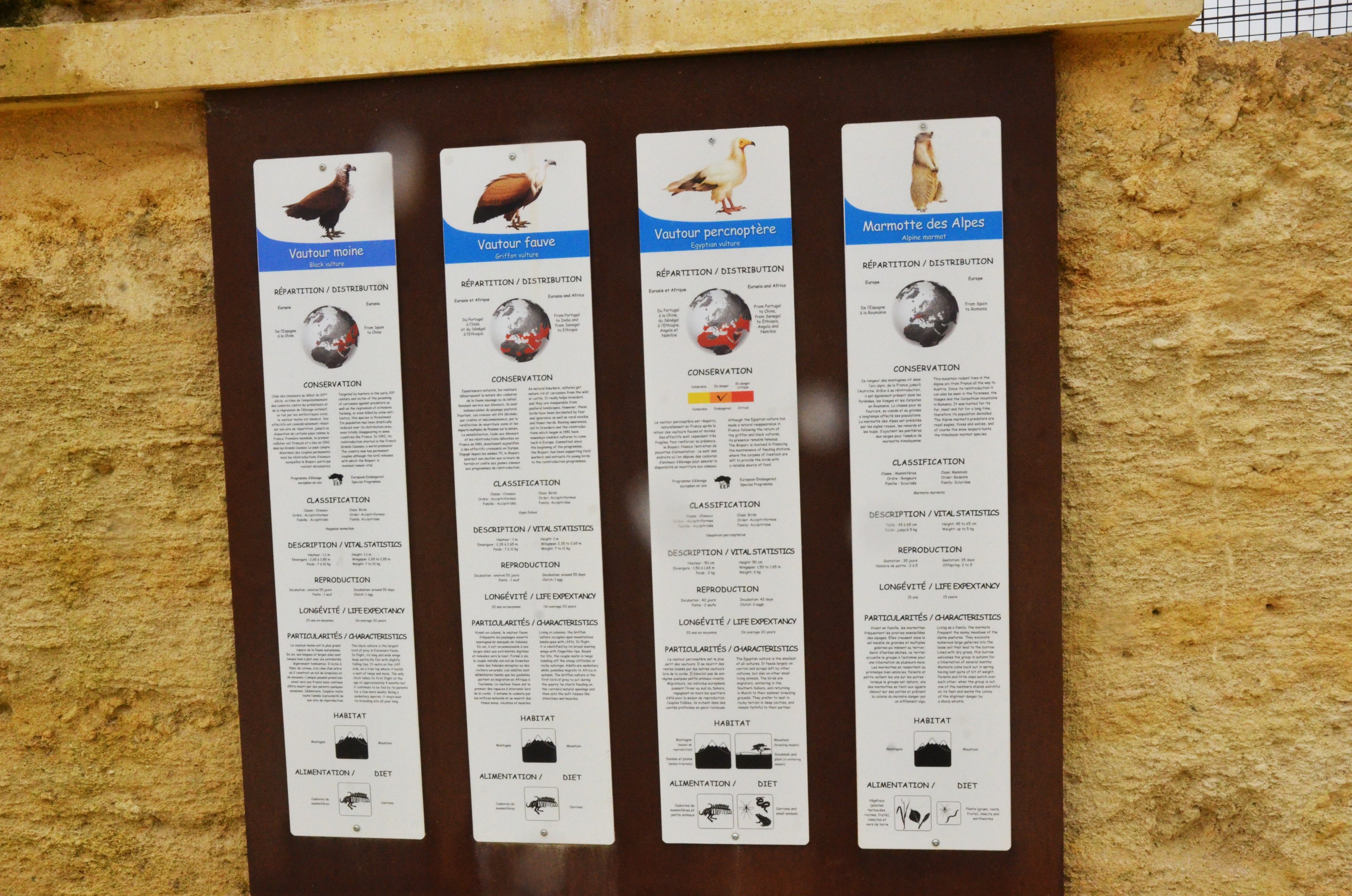Vulture and Marmot Enclosure Signage at Doué-la-Fontaine, 15/06/18