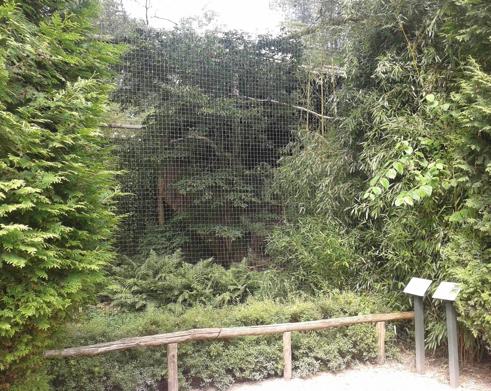 Vulture and Seriema aviary