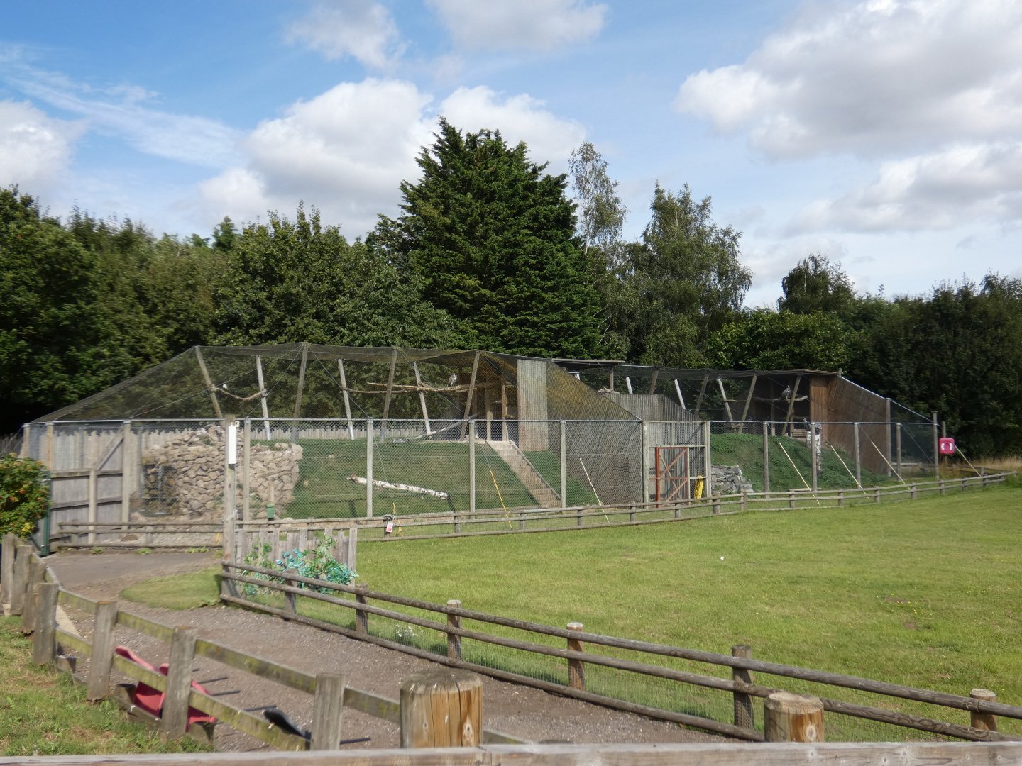 Vulture aviaries