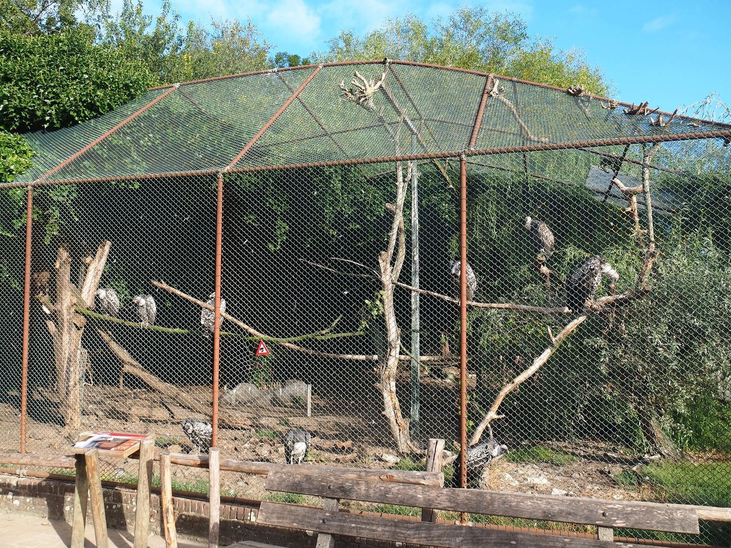 Vulture aviary, 2022-08-28