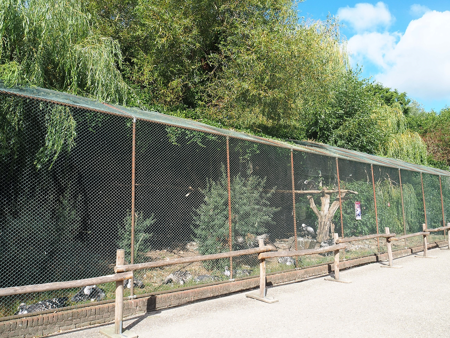 Vulture aviary, 2022-08-28