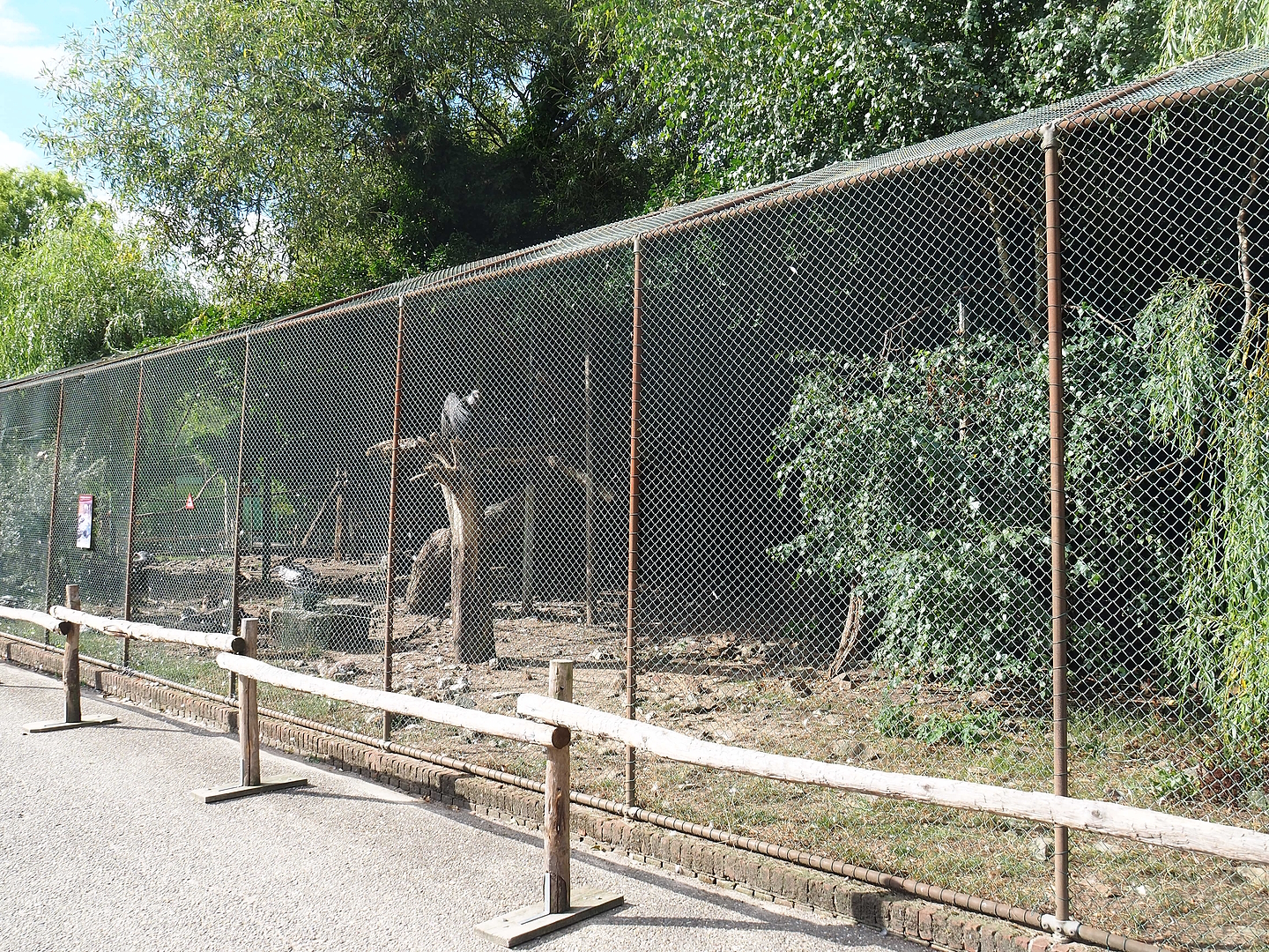 Vulture aviary, 2022-08-28