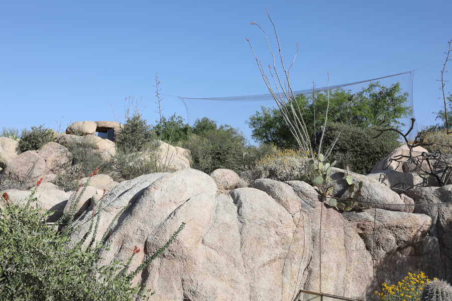 vulture aviary and kids lookout