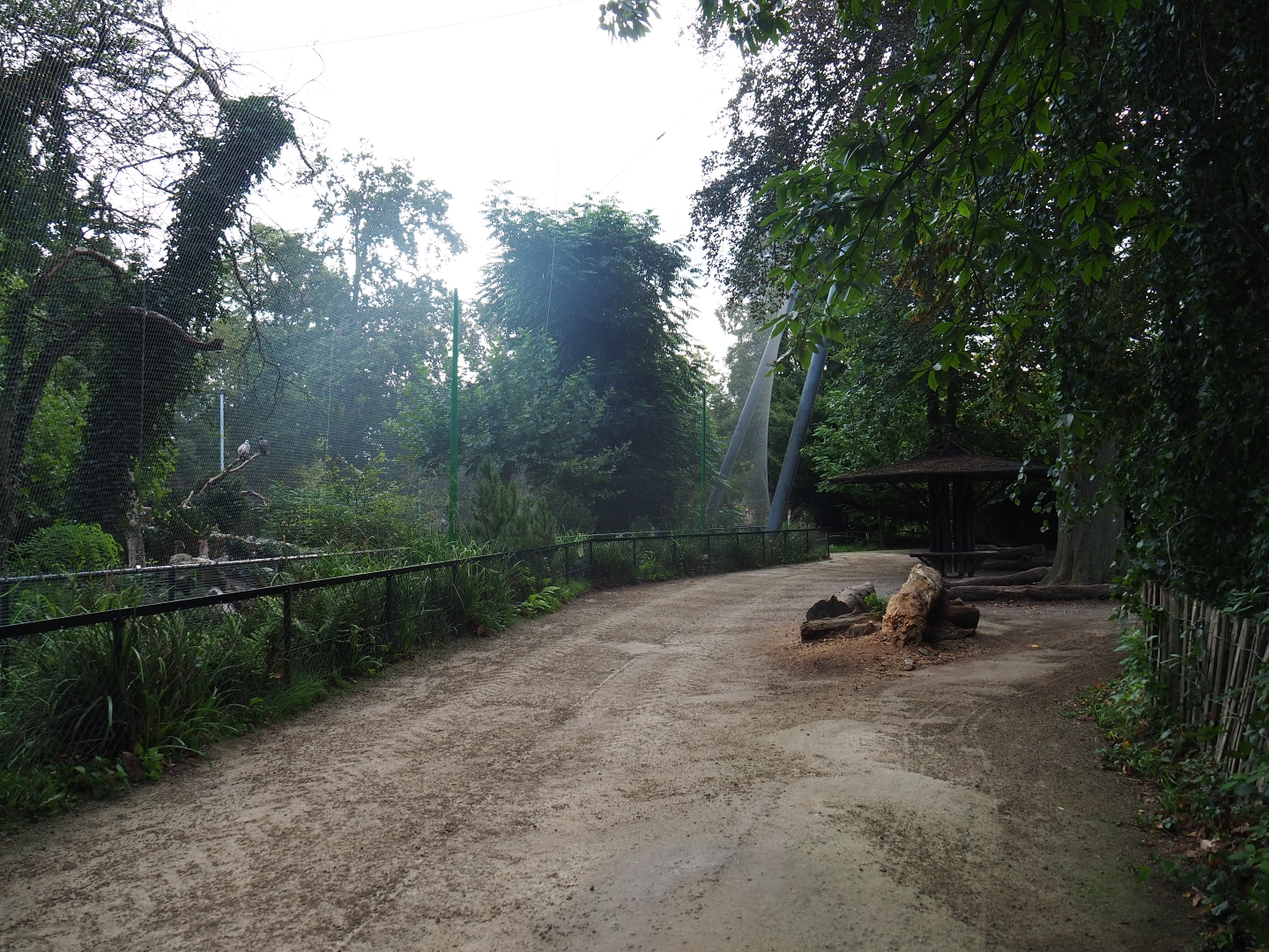 Vulture aviary and pathway