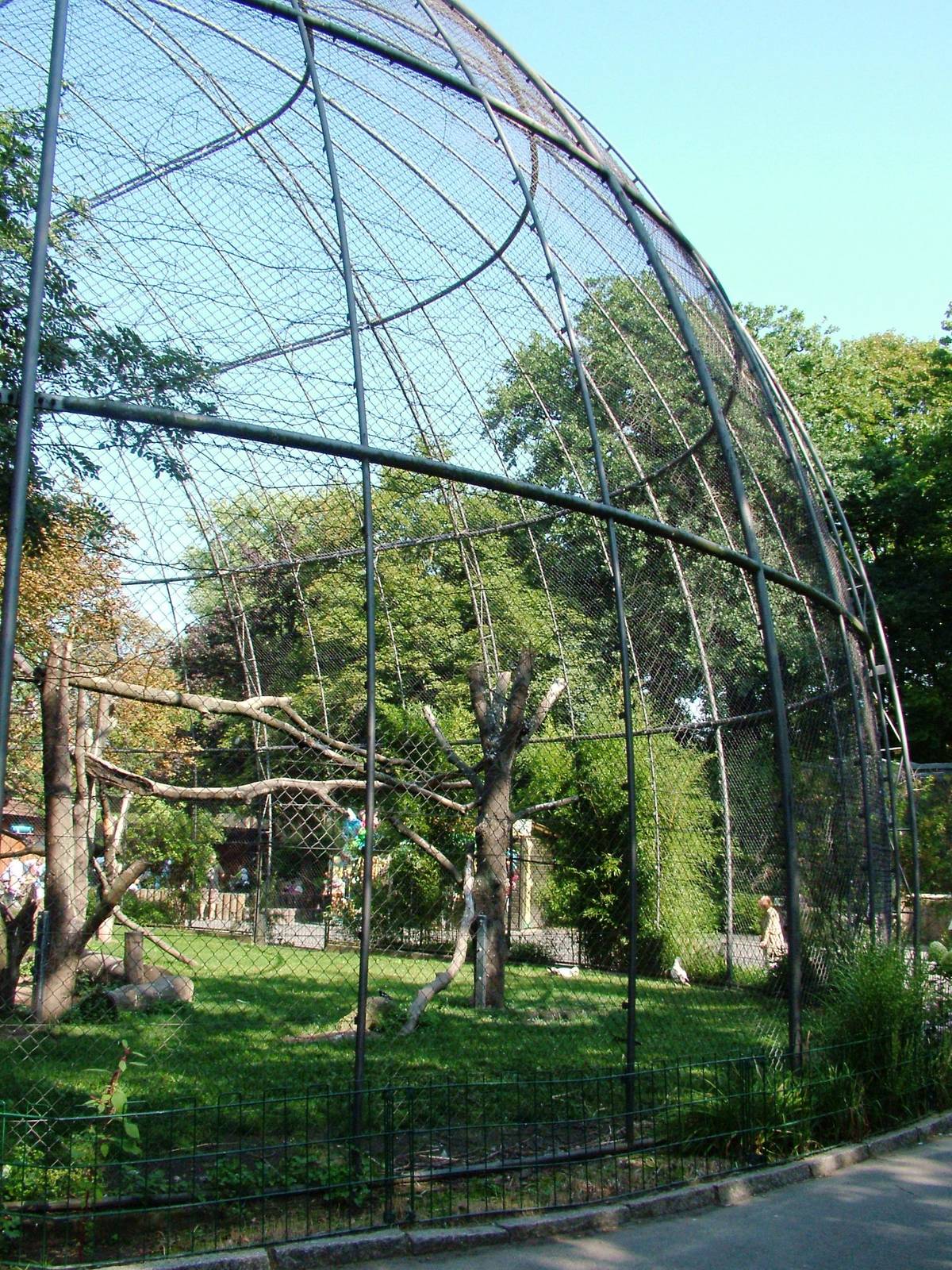 Vulture Aviary at Dresden, 29/08/12