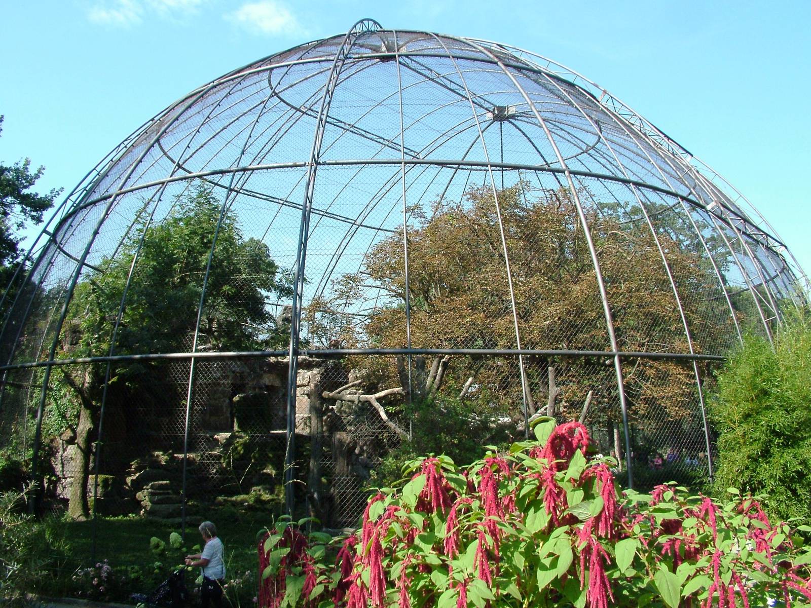 Vulture Aviary at Dresden, 29/08/12