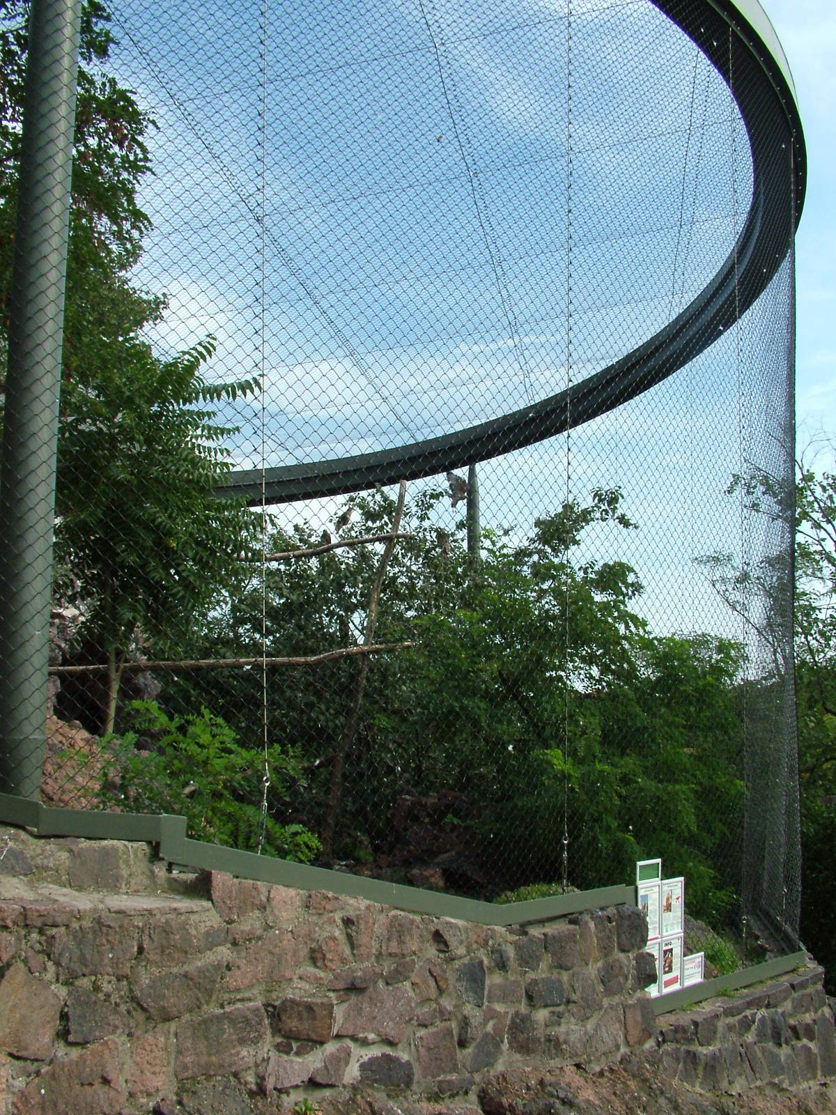 Vulture Aviary at Halle, 04/09/11