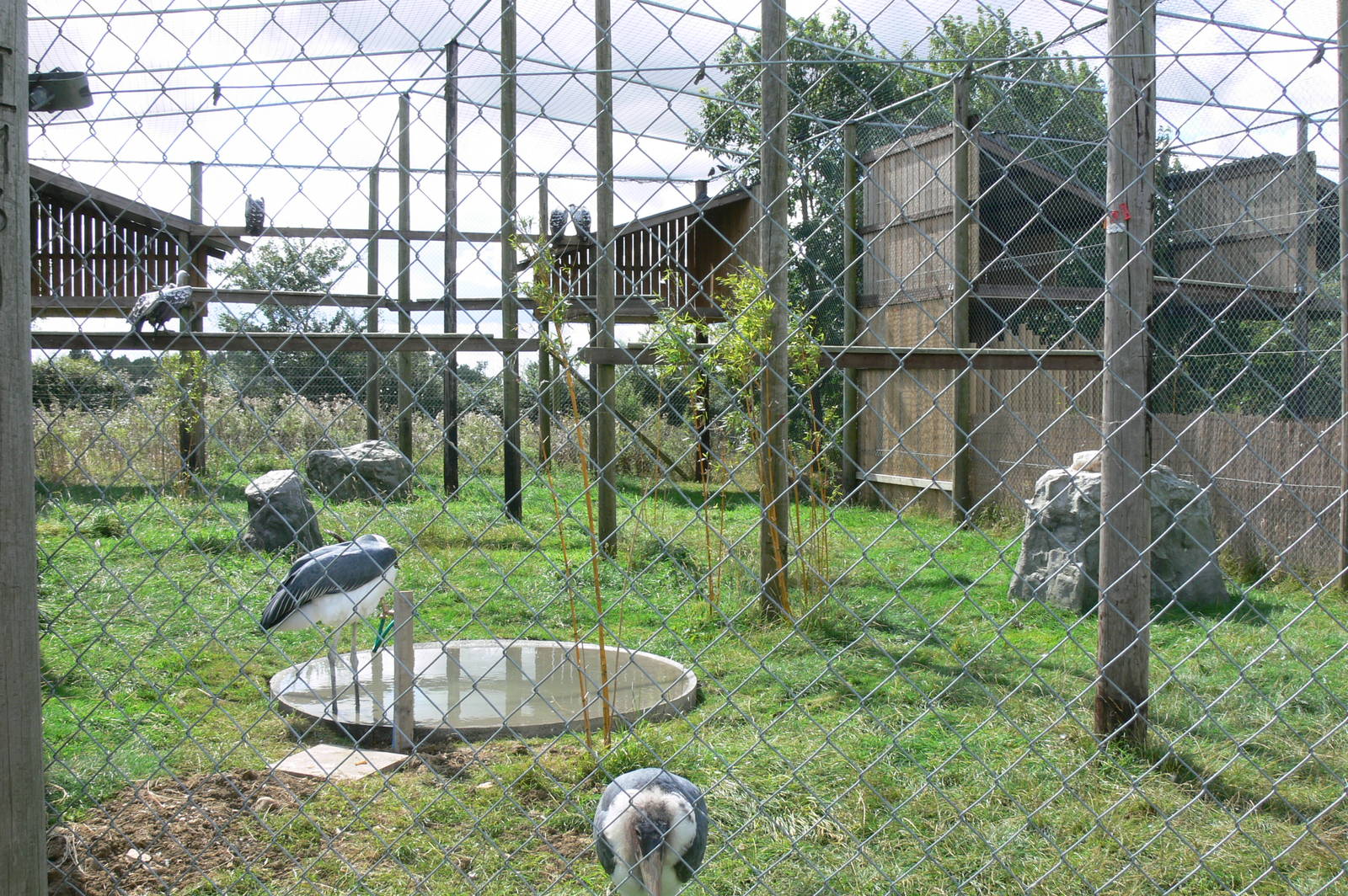 Vulture Aviary at Hamerton Zoo, 23/08/14