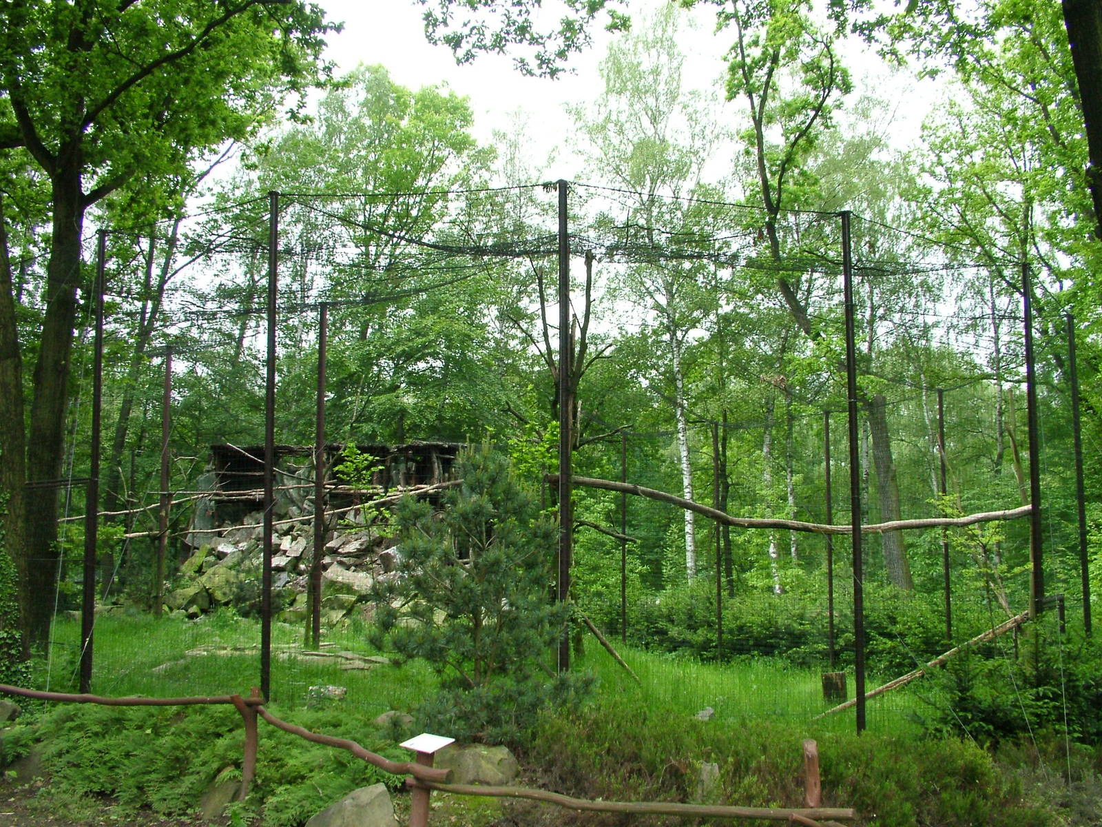 Vulture Aviary at Ostrava, 29/05/10
