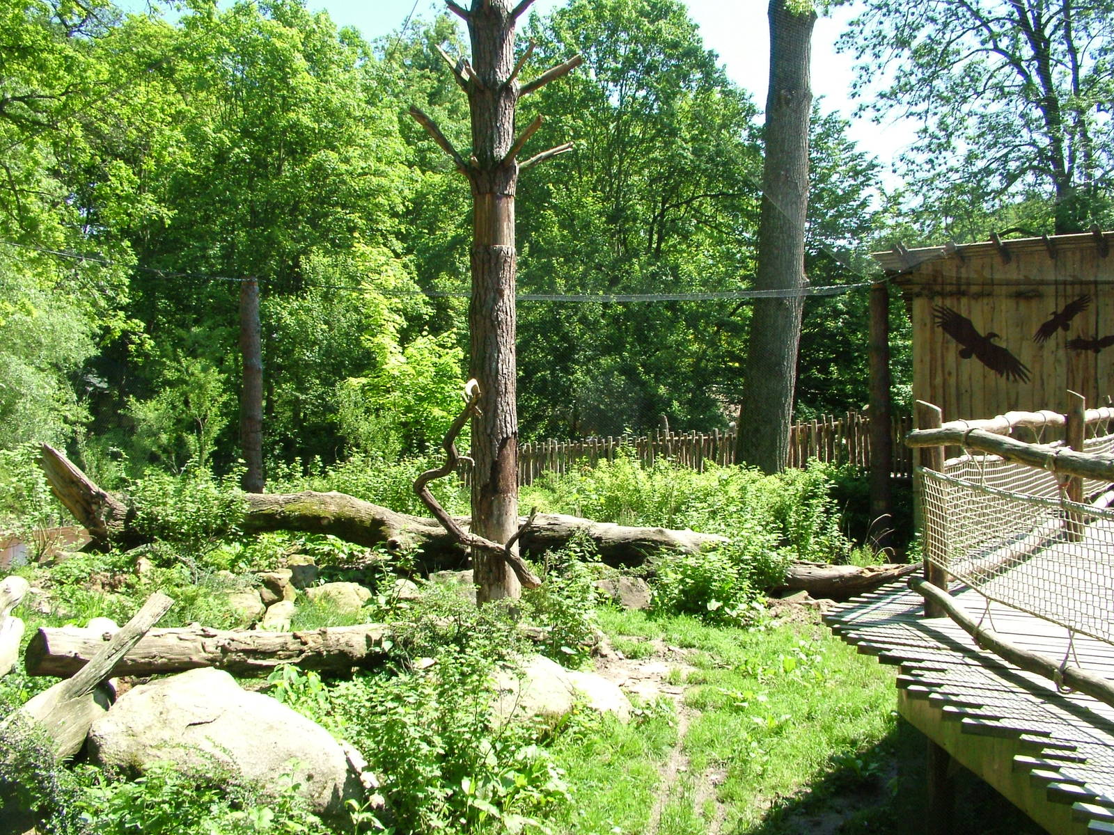 Vulture aviary at Zlin, 28/05/10