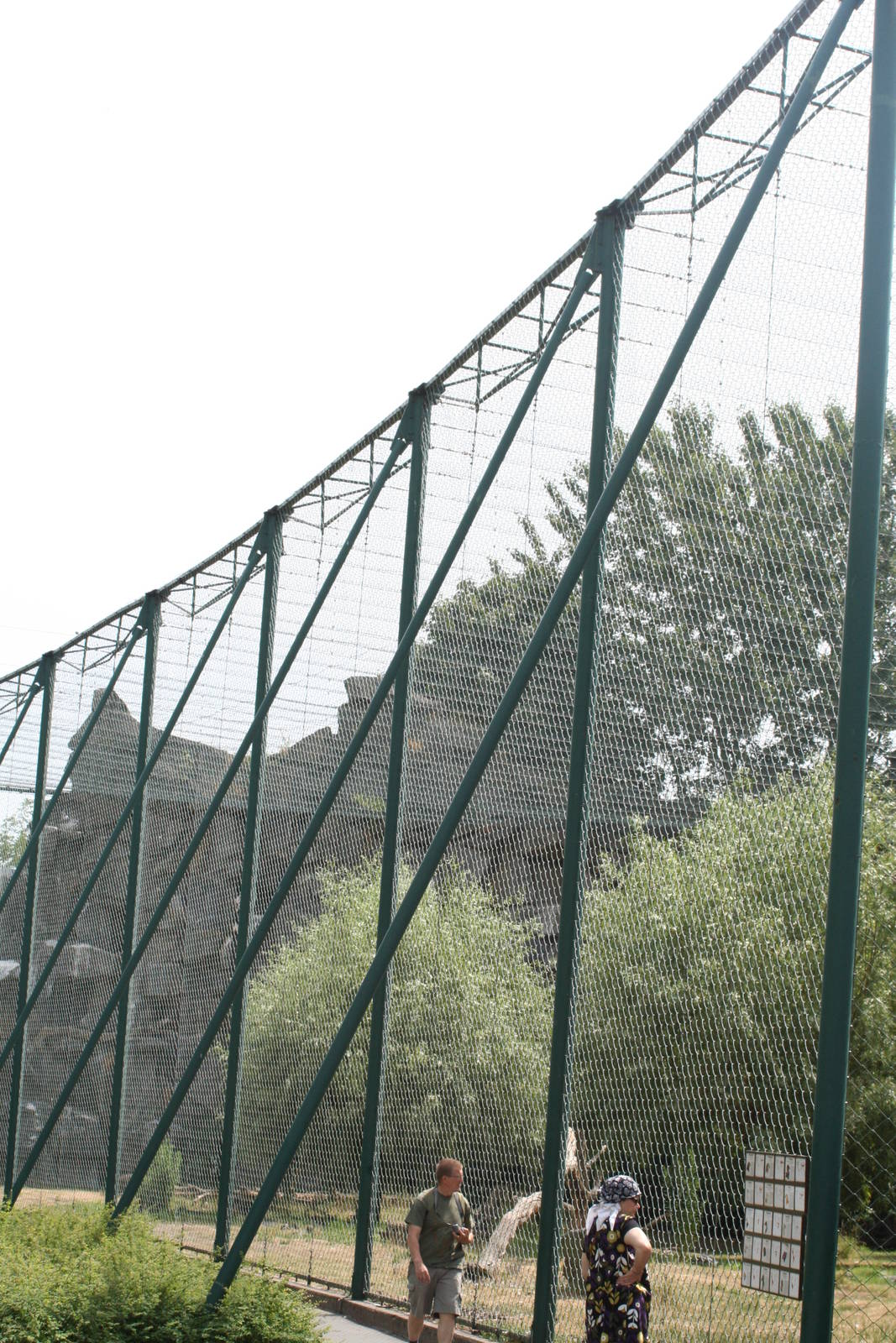 Vulture aviary- Berlin Tierpark July 08