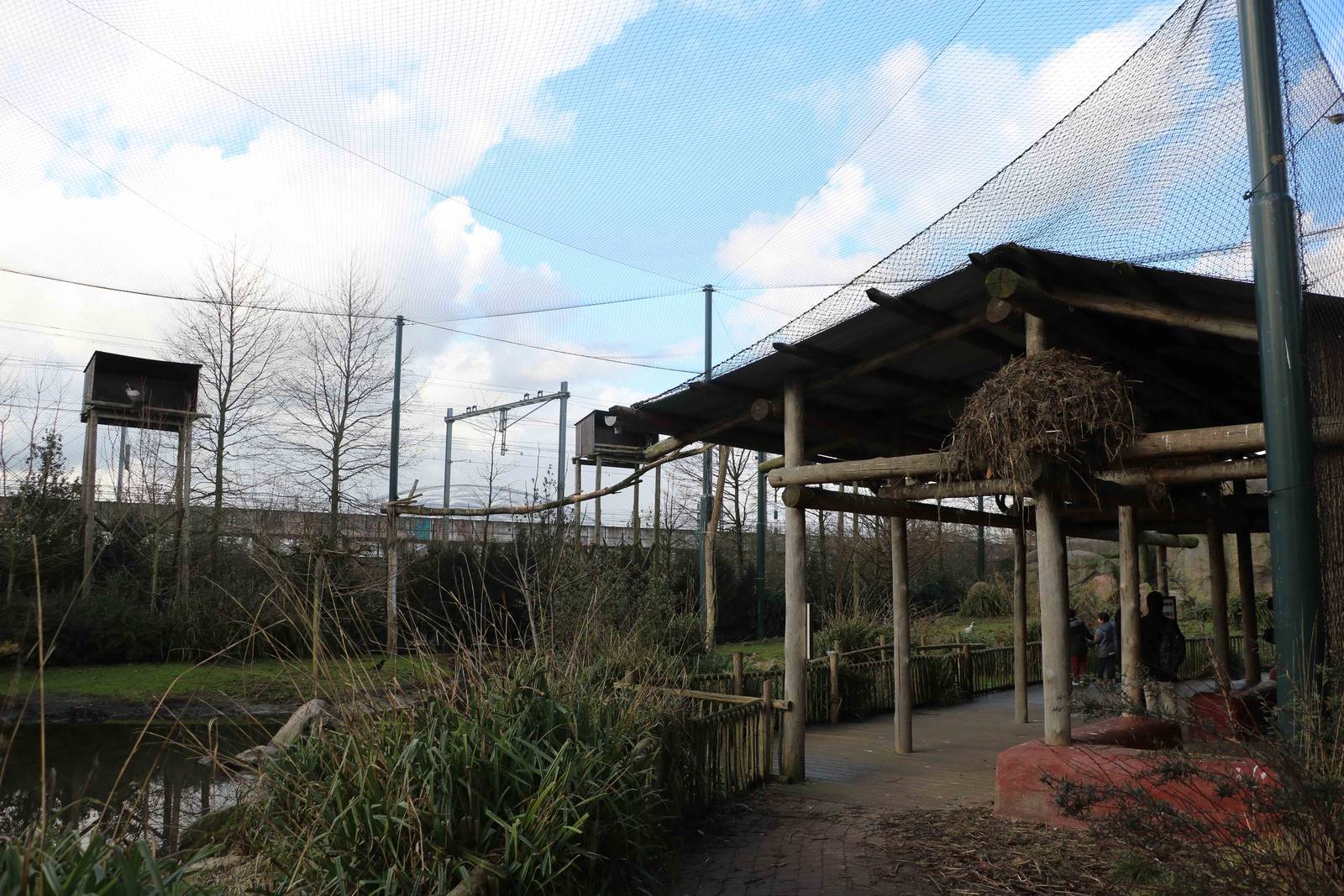 Vulture aviary, February 2016