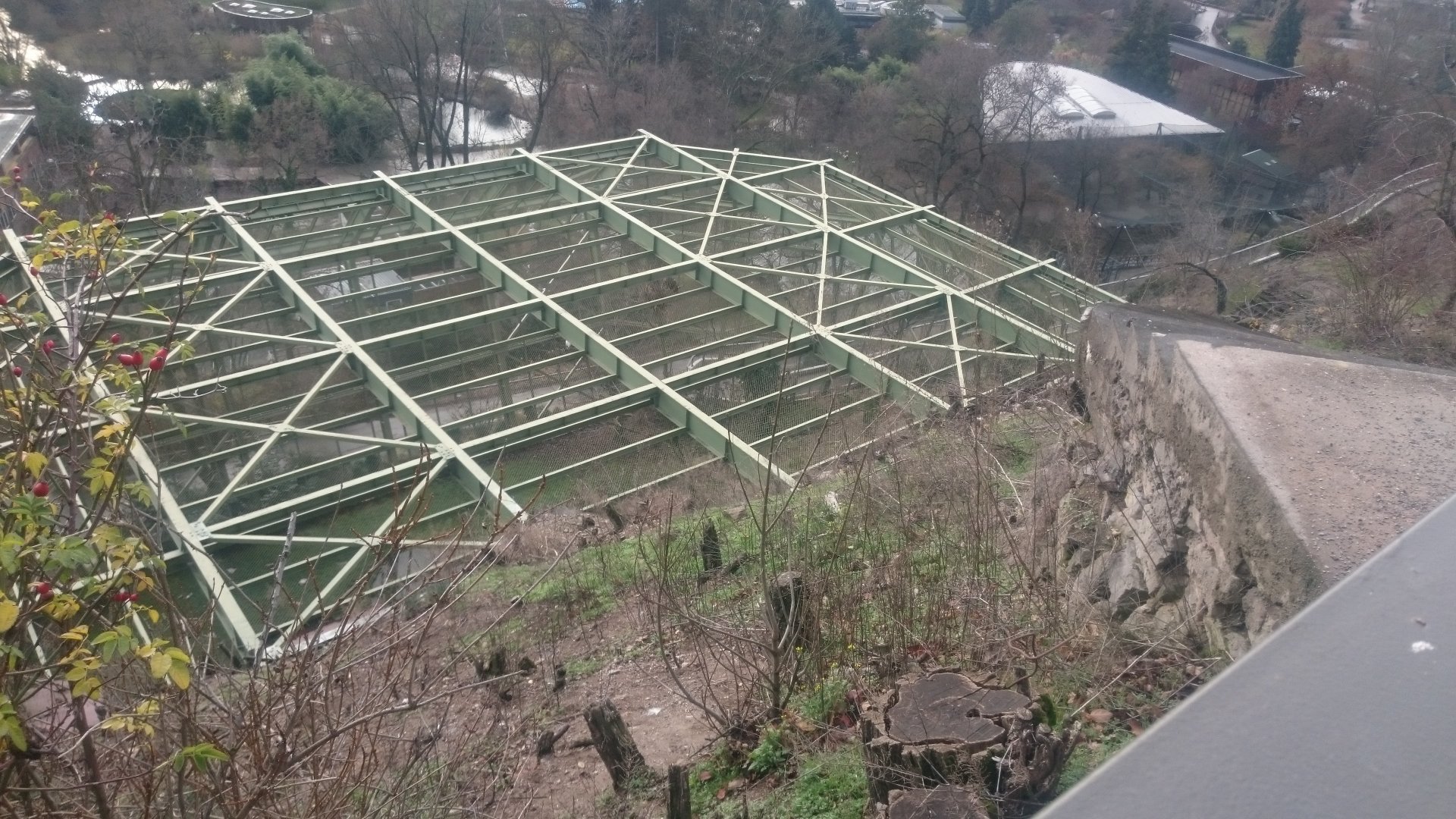 Vulture aviary from above