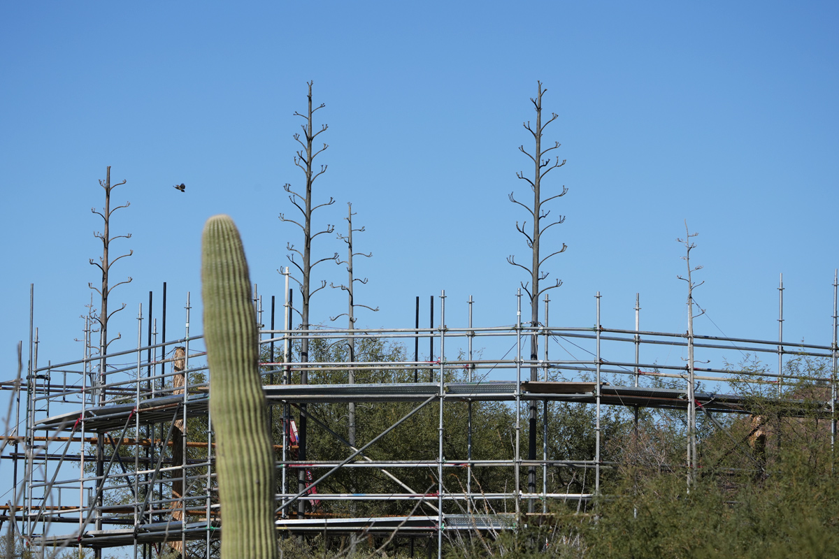 Vulture Aviary Renovation