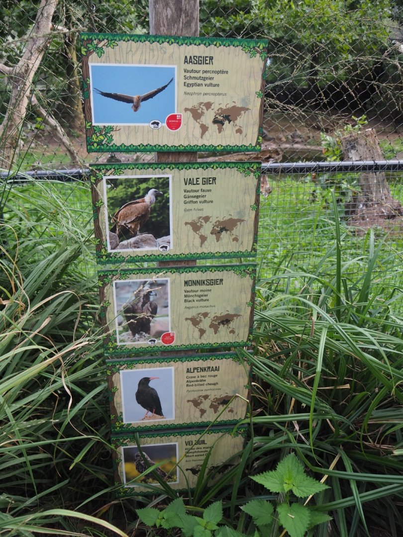 Vulture aviary signs