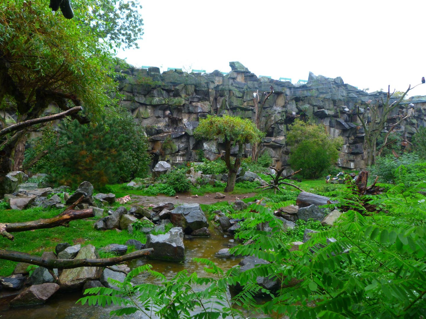 Vulture aviary -Tierpark Berlin (2024)