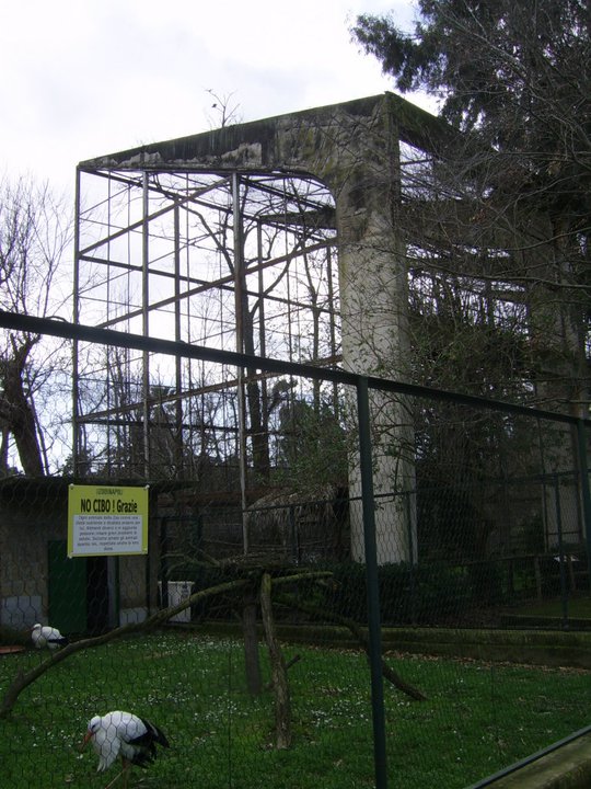 Vulture Aviary Zoo di Napoli 2010