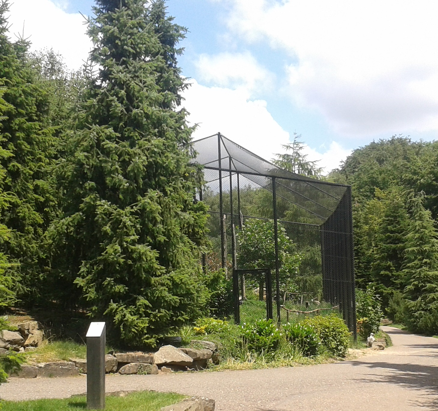 Vulture aviary